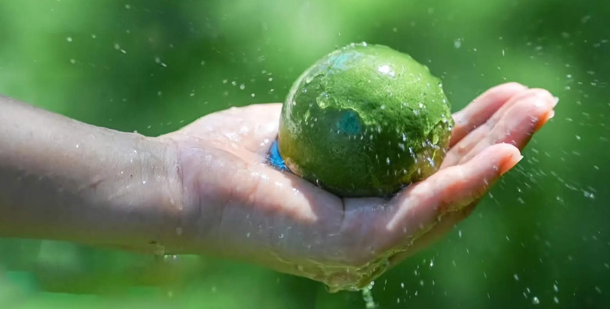 自建1800亩<br/>香水柠檬果园